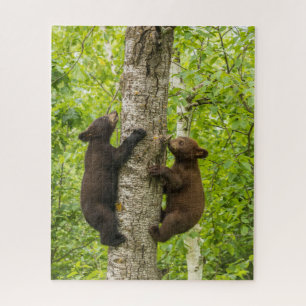 Puzzle Arbre d'Escalades de l'ours noir