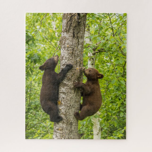 Puzzle Arbre d'Escalades de l'ours noir (Vertical)