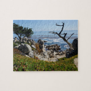 Puzzle Arbre fantôme - Pittoresque 17 Mile Drive #2 Jigsa