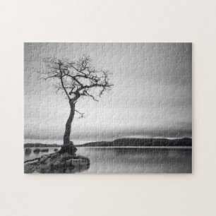 Puzzle Arbre nu isolé