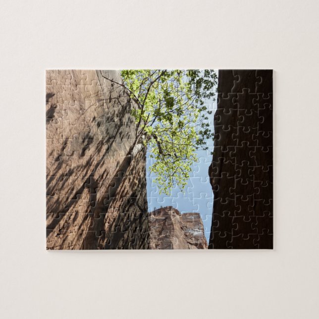 Puzzle Arbre qui pousse entre les rochers dans le parc na (Horizontal)