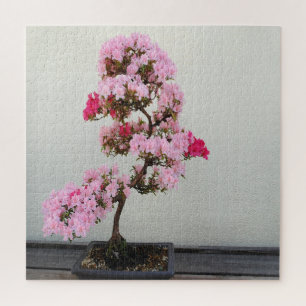 Puzzle Arbre rose bonsaï