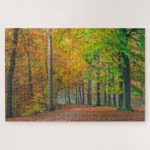 Puzzle Arbres avec le feuillage d'automne dans une forêt