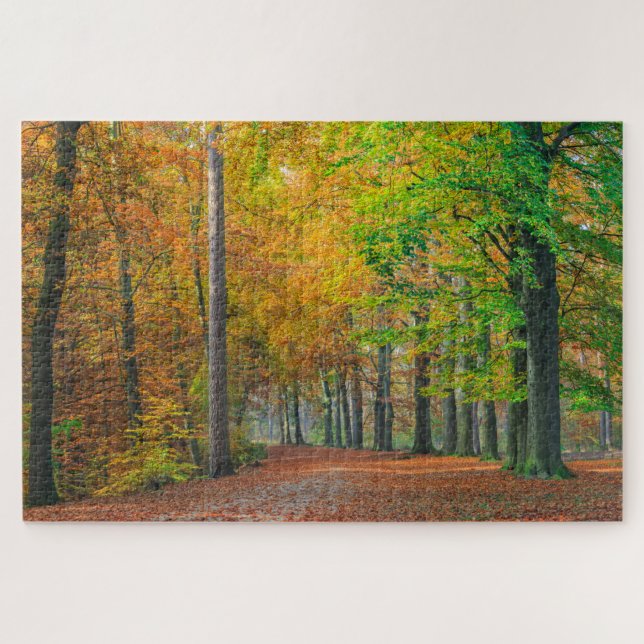 Puzzle Arbres avec le feuillage d'automne dans une forêt (Horizontal)