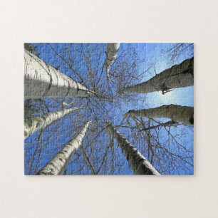 Puzzle Arbres Bouleau Nature Forêt.