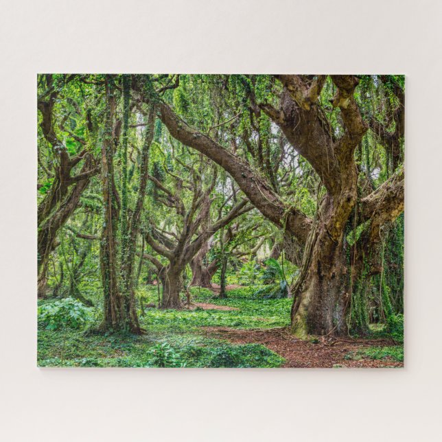 Puzzle Arbres pluviaux (Horizontal)