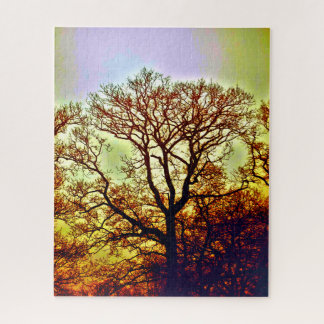 PUZZLE ARBRES SOUS LE SOLEIL BRUMEUX
