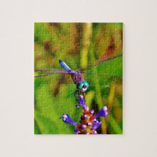 Puzzle Arc en ciel libellule et fleur