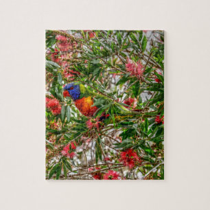 PUZZLE ARC-EN-CIEL LORIKEET QUEENSLAND RURAL AUSTRALIE