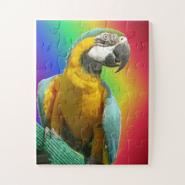 Puzzle arc-en-ciel : Perroquet amusant (Vertical)