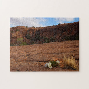 Puzzle Arches Slickrock et soir Primrose Paysage