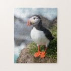 Arctica de Fratercula de macareux chez Látrabjarg