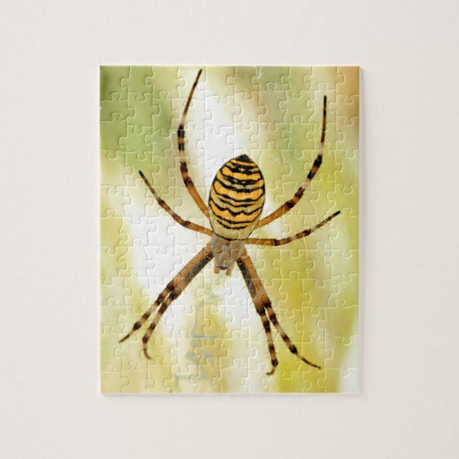 Puzzle Argiope (Vertical)