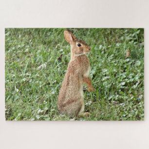 Puzzle Arisdale Arts : Lapin sauvage debout