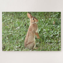 Arisdale Arts : Wild Rabbit Standing