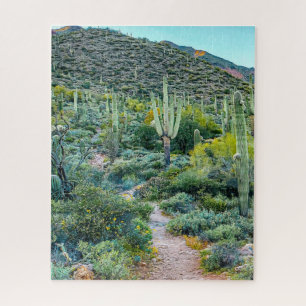 Puzzle Arizona Desert Randonnée Trail Saguaro Cactus Fore