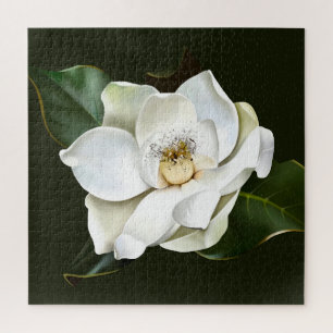 Puzzle Arrière - plan blanc Magnolia Closeup Vert