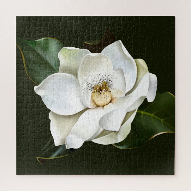 Puzzle Arrière - plan blanc Magnolia Closeup Vert (Vertical)