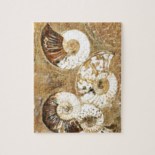 Puzzle Arrière - plan préhistorique avec les coquilles (Vertical)