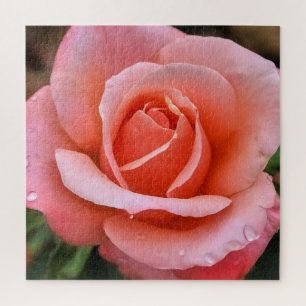 Puzzle Art botanique romantique Rose Imprimer