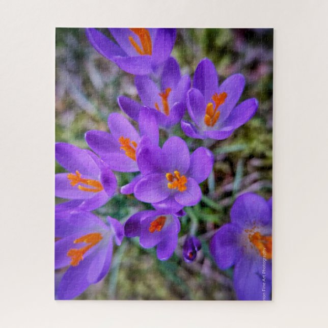 Puzzle Art Crocus (Vertical)