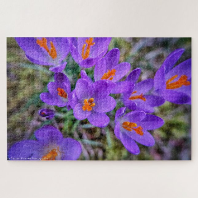 Puzzle Art Crocus (Horizontal)
