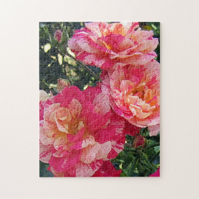 Puzzle Art Floral Rose rayé rose et blanc (Vertical)