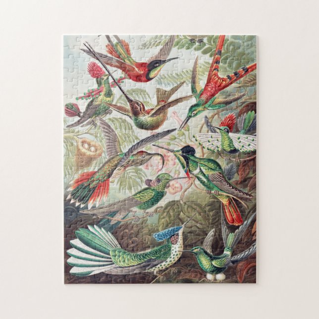 Puzzle Art par Ernst Haeckel (Vertical)