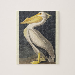 Puzzle Art vintage de l'Américain Pélican Blanc d'Audubon