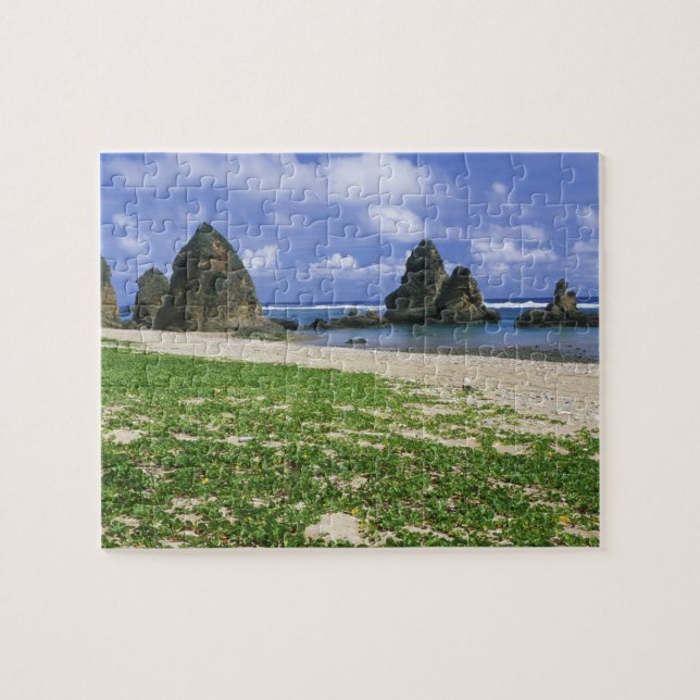 Puzzle Asie, Japon, Okinawa, littoral de Yambaru, mer (Horizontal)