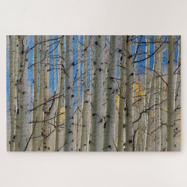 Puzzle Aspen Groves | Colorado Montagnes Rocheuses (Horizontal)