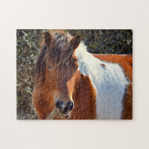 Puzzle Assateague Pinto Mare Ms Macky