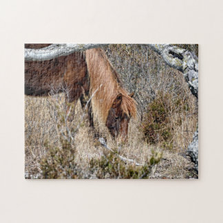 Puzzle Assateague Wild Horse Jigwaw