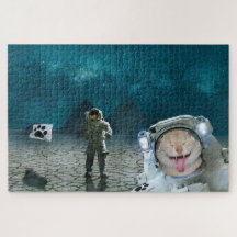 Astronaut De Chat Drôle Dans L'Espace