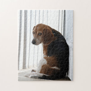 Puzzle attitude de beagle