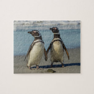 Puzzle Au pair des penguins