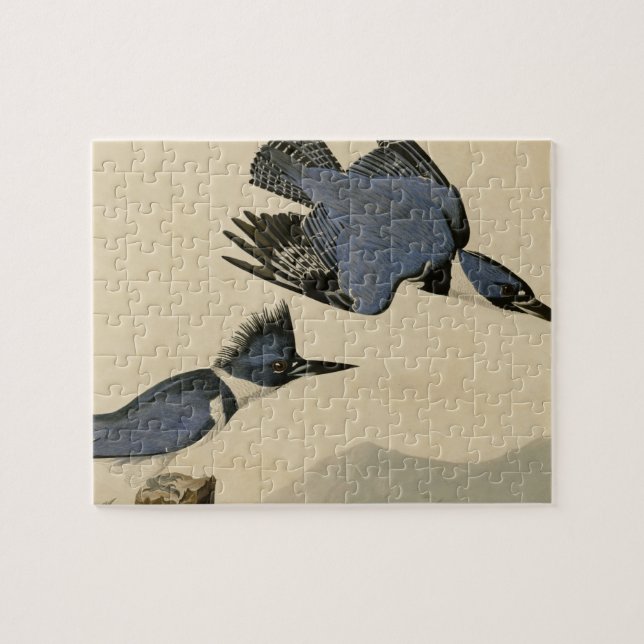 Puzzle Audubon Belted Kingfisher Wildlife Bird (Horizontal)
