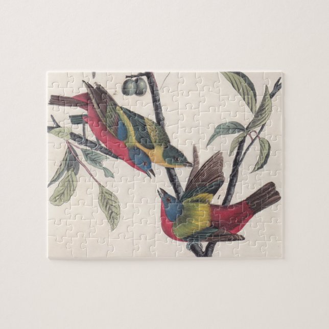 Puzzle Audubon Peint Bunting Bird Wildlife (Horizontal)