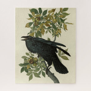 Puzzle Audubon Raven Oiseau classique