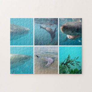 Puzzle Australie Animaux sous-marins Photo Collage Enfant