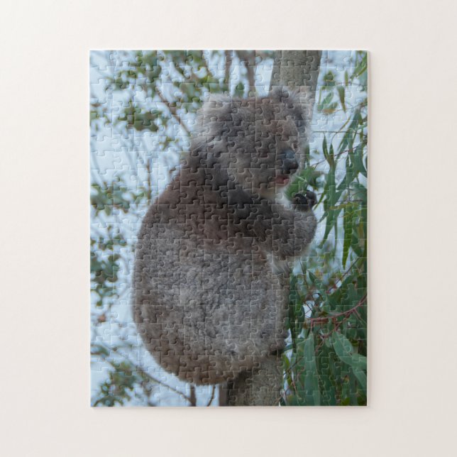 Puzzle Australie Kangaroo Island Koala Tree, 252 pièces (Vertical)