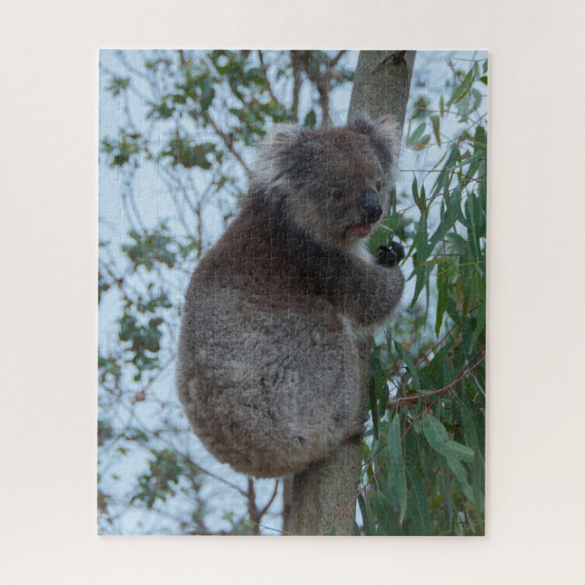 Puzzle Australie Kangaroo Island Koala Tree, 520 pièces (Vertical)