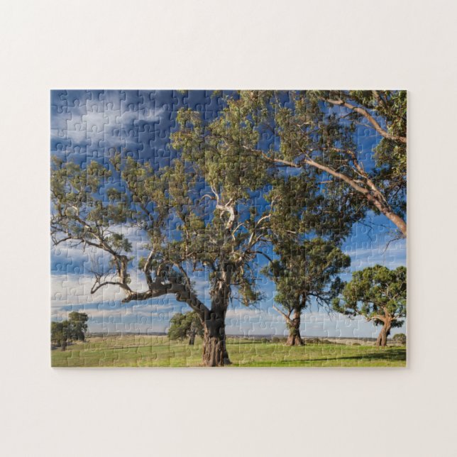 Puzzle Australie, vallée de Barossa, Mont Pleasant (Horizontal)