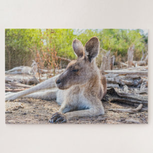Puzzle Australienne Kangaroo Repose