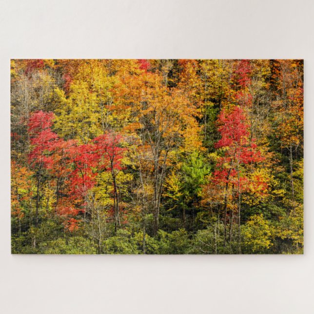 Puzzle Automne à Sims Pond North Carolina, Blue Ridge (Horizontal)