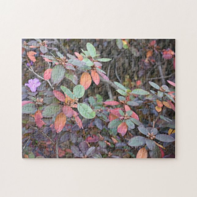 Puzzle Automne Feuillage Automne Feuilles Nature Arbre Ph (Horizontal)