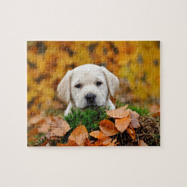 Puzzle Automne Labrador (Horizontal)