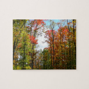 Puzzle Automnes Arbres et Ciel bleu Automne Photographie 