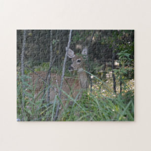 Puzzle avec boîte cadeau/Doe dans Woods