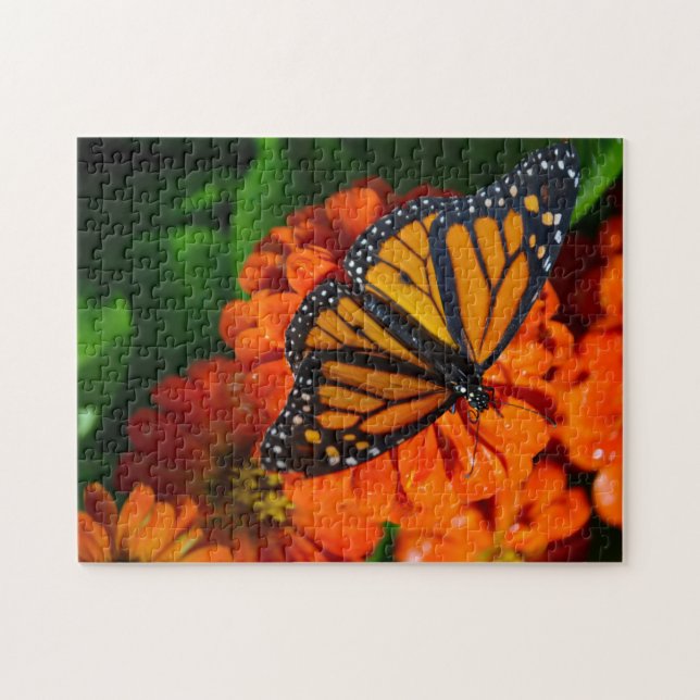 Puzzle avec boîte cadeau/papillon Monarque (Horizontal)